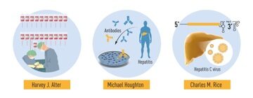 medicine2020-figure3-en